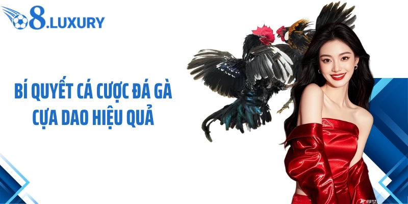 Bí quyết cá cược đá gà cựa dao hiệu quả