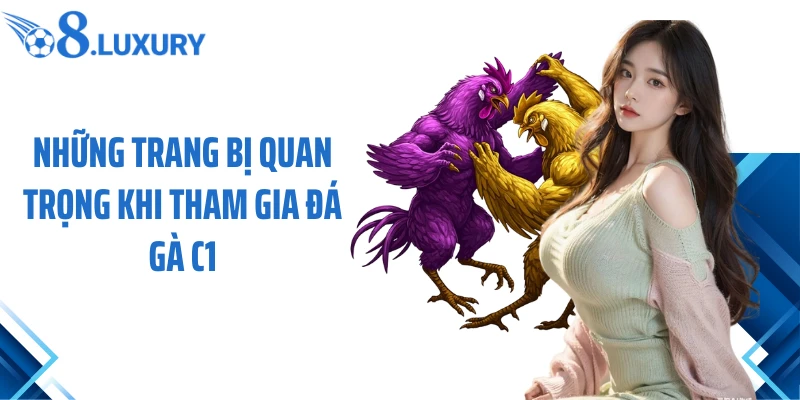 Những trang bị quan trọng khi tham gia đá gà C1